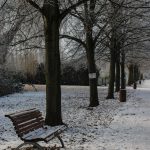 path in a park in winter
