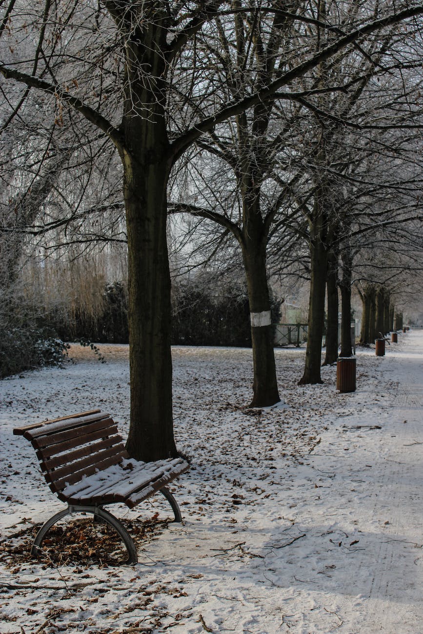 path in a park in winter