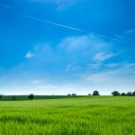 panoramic photography of green field