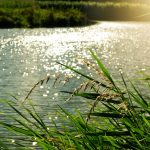 body of water at daytime