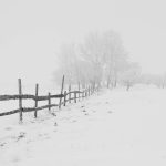 black wooden fence on snow field at a distance of black bare trees